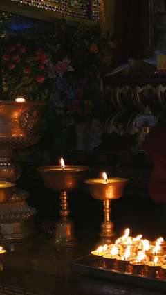 秋山無樹故崚嶒,幾度支筇未忍登。 荒路行愁逢牧馬,舊交老漸變高僧。 鐘樓自吼南朝寺,佛塔還燃半夜燈。 莫向雨花臺北望,寒云黯淡是鐘陵。