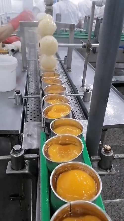 探秘罐頭加工 防腐劑使用真相與礦物洗選加工工藝