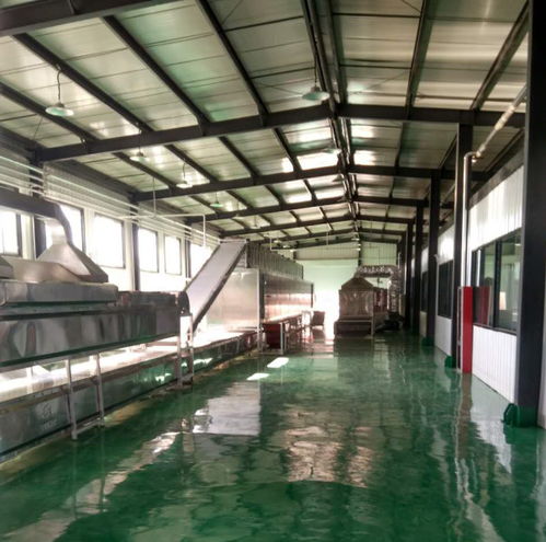 辦粉條加工廠 設備選擇與布置的實用指南
